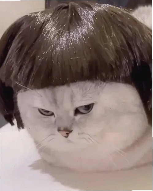 meme mặt chán đời