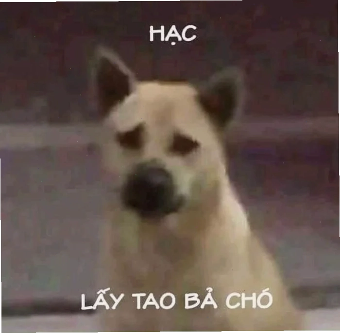 meme mặt chán đời ngồi tựa cửa