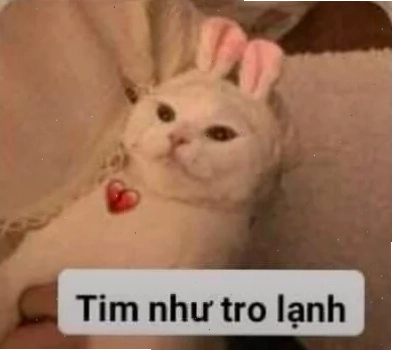 meme mặt chán đời nhìn đồ ăn nguội