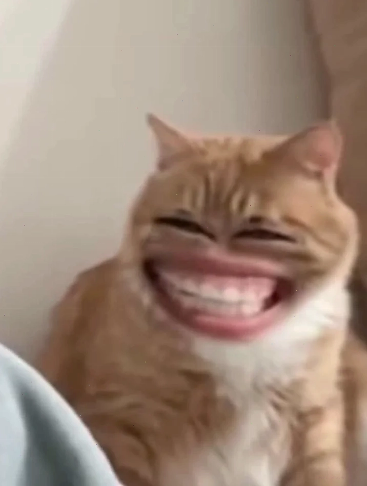 meme mặt cười 19 meme mặt cười hài hước