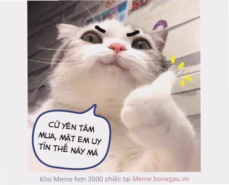 meme mặt cười 29 meme mặt cười hài hước