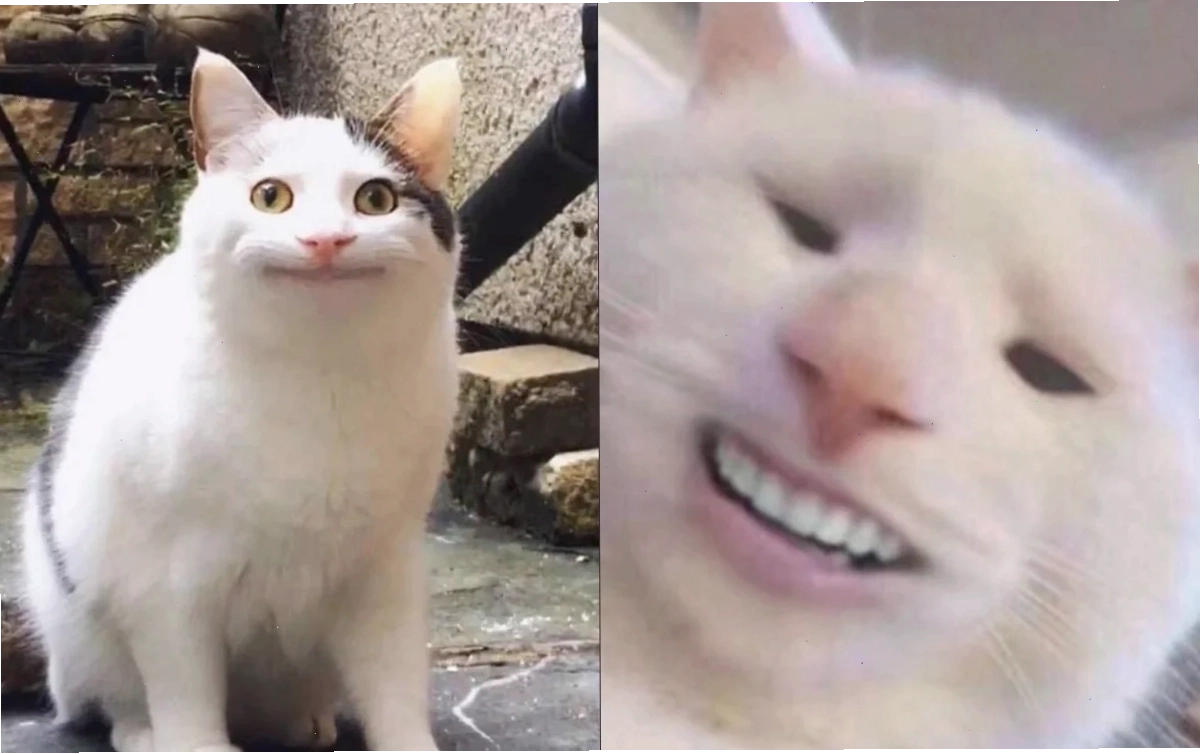 meme mặt cười 30 meme mặt cười hài hước