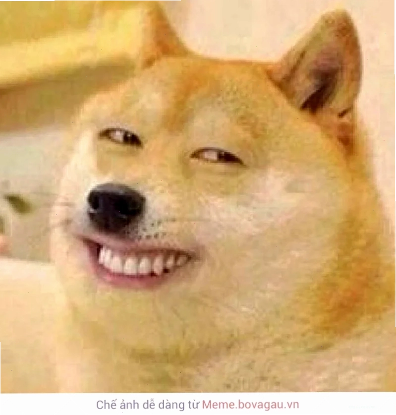 meme mặt cười 10 meme mặt cười hài hước