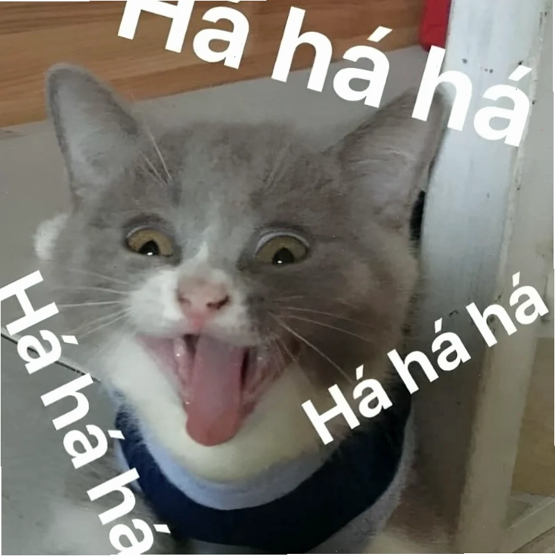 meme mặt cười 18 meme mặt cười hài hước