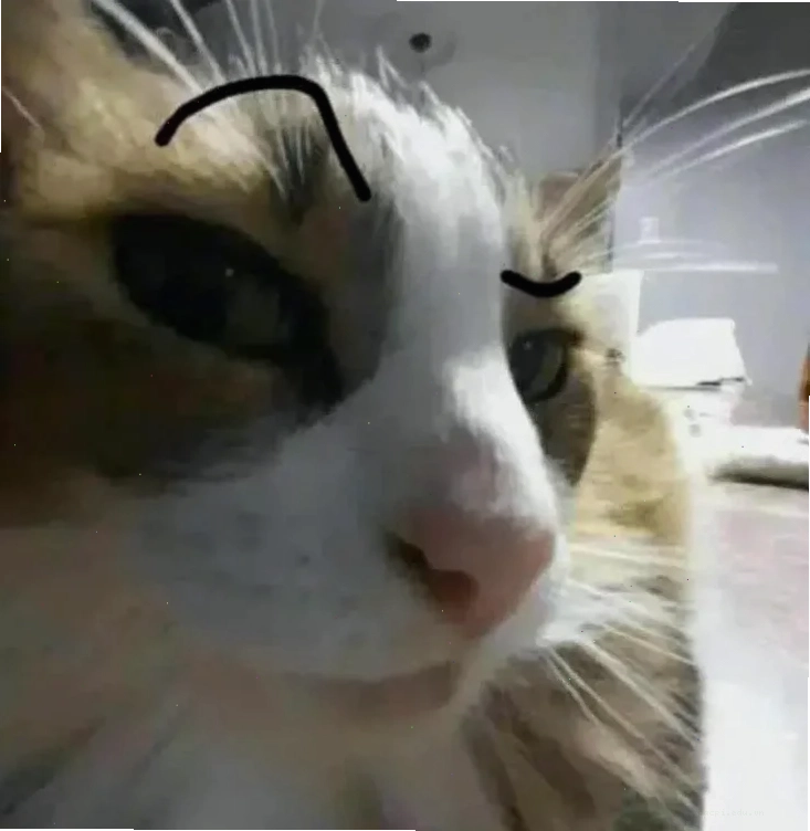 meme mắt đỏ