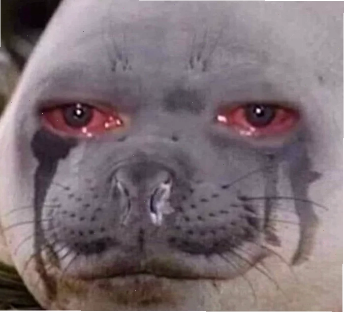 meme mắt đỏ