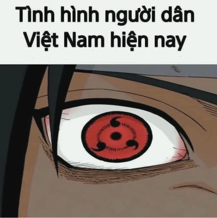 meme mắt đỏ