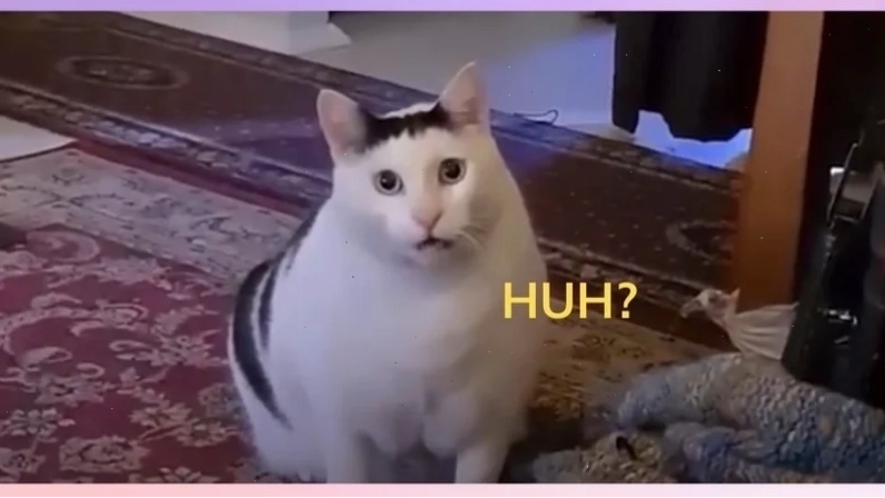meme mặt khó hiểu
