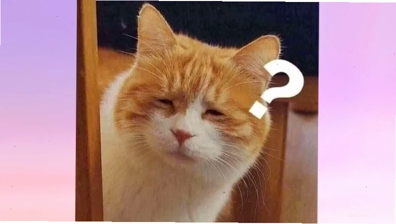 meme mặt khó hiểu
