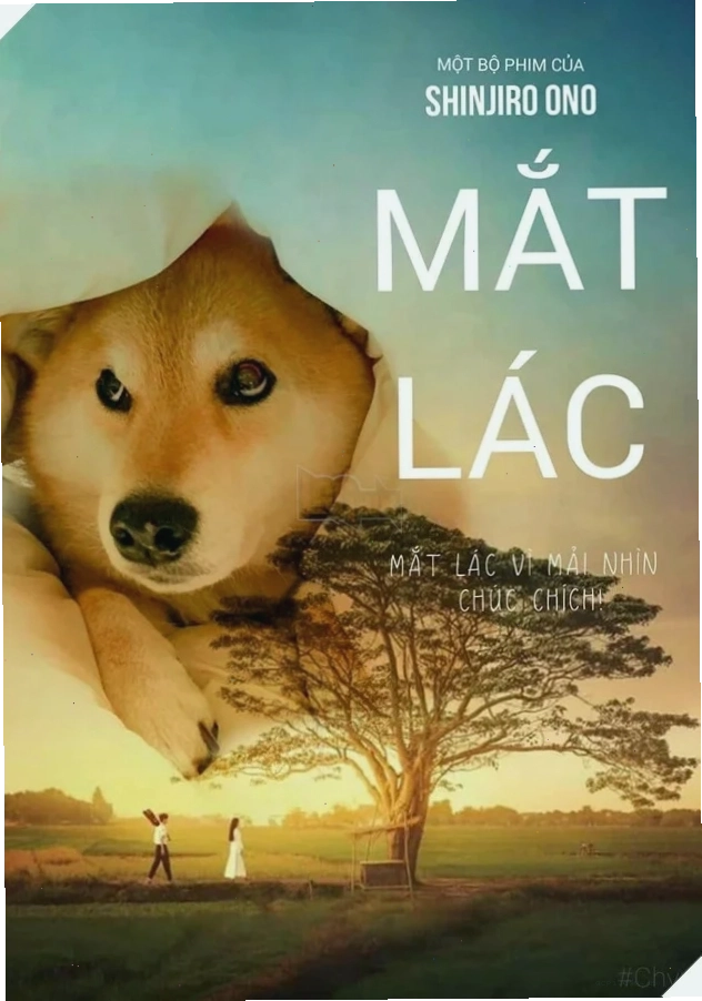 Meme mắt lác ấn tượng