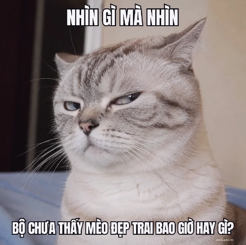 Meme mắt lác phong cách vẽ