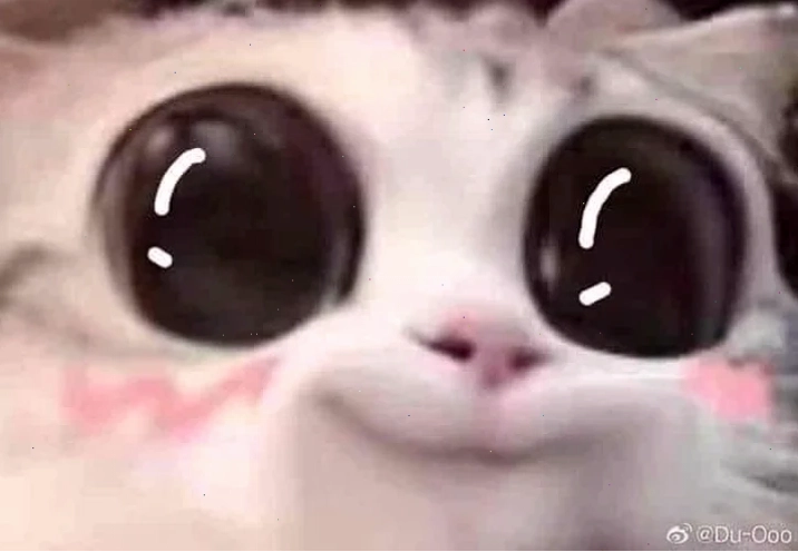 meme mắt long lanh cute