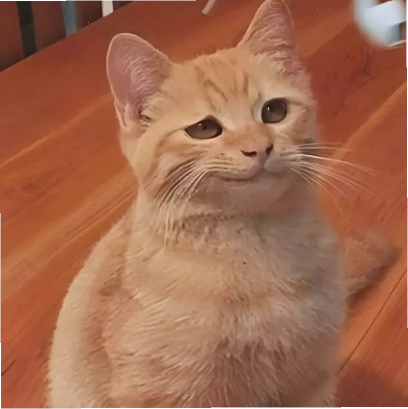 meme mặt nhăn