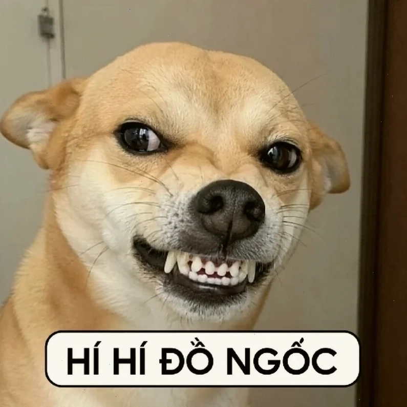 meme mặt nhăn
