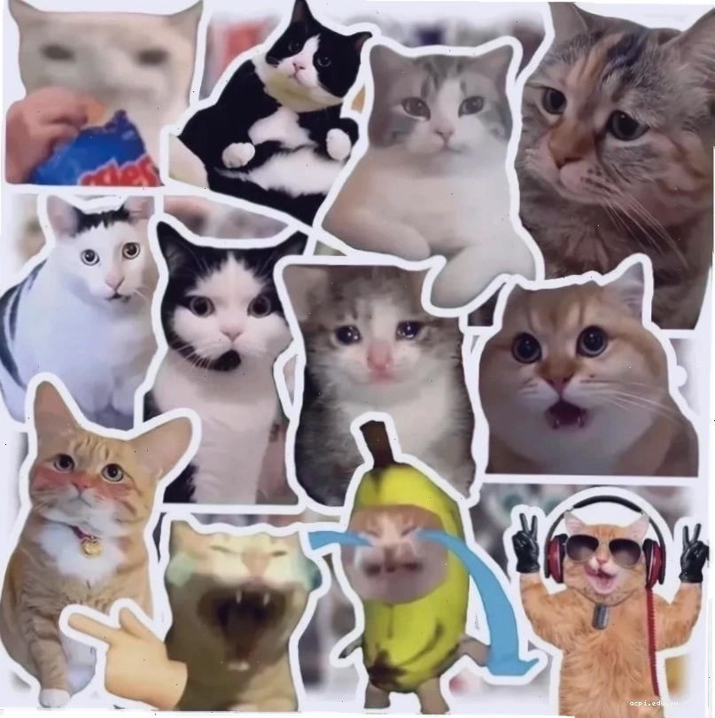 Meme Ấn Độ meme material bollywood