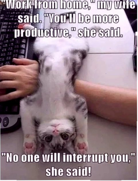 Tự động hóa meme material công nghệ