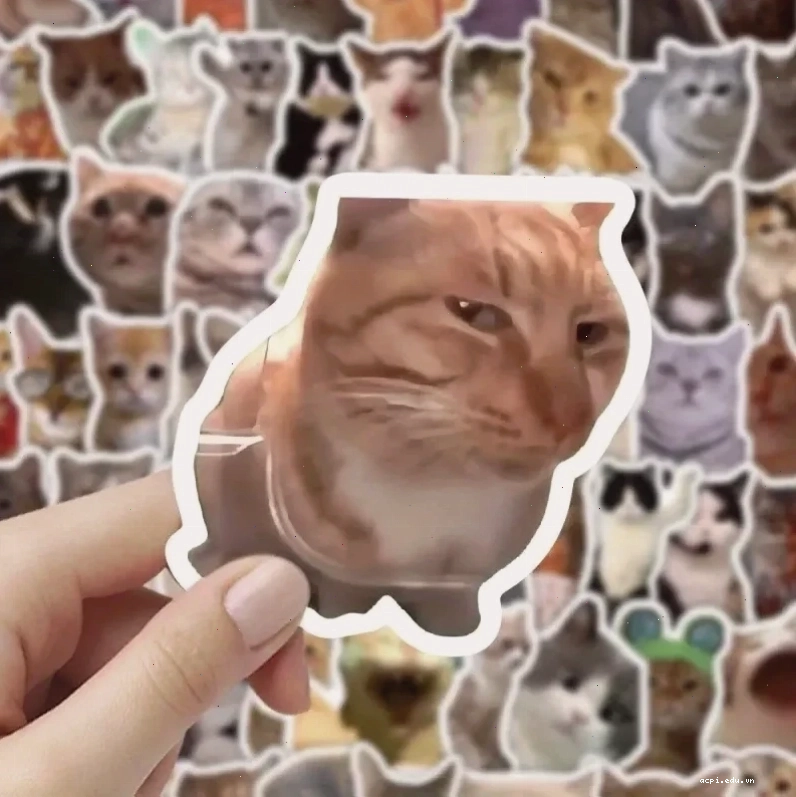 Mẫu ảnh chế meme material template
