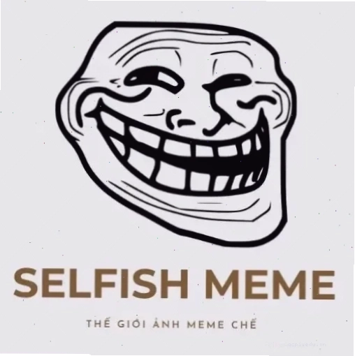 meme mèo bất ngờ