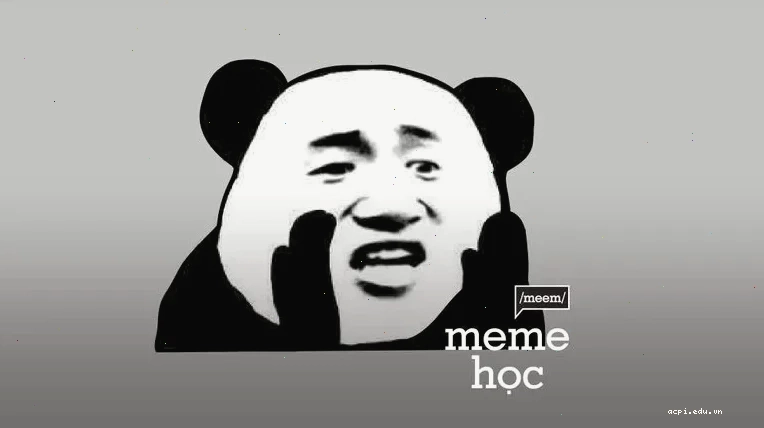 meme mèo biểu cảm