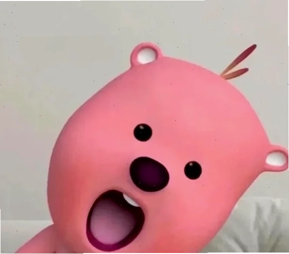 meme mèo bối rối