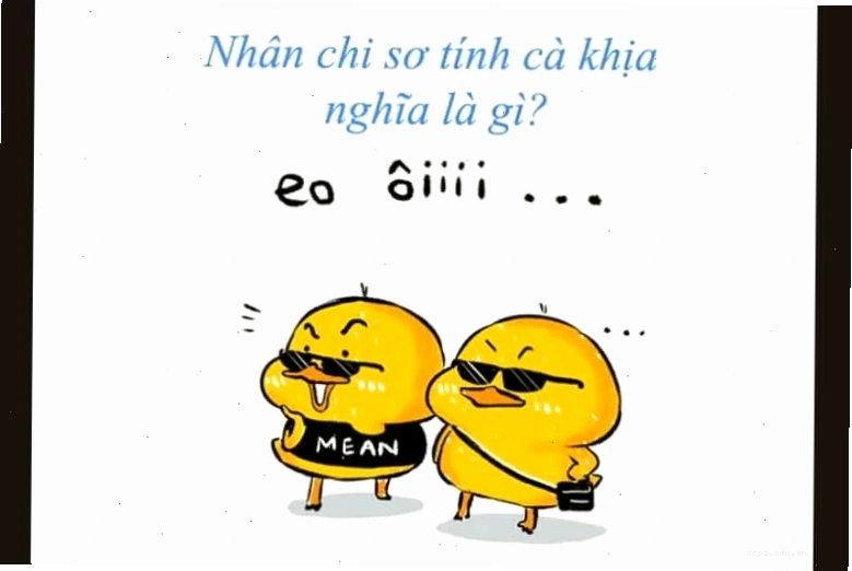 meme mèo cà khịa