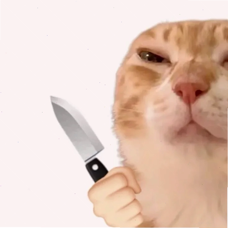 meme mèo cầm dao kề cổ