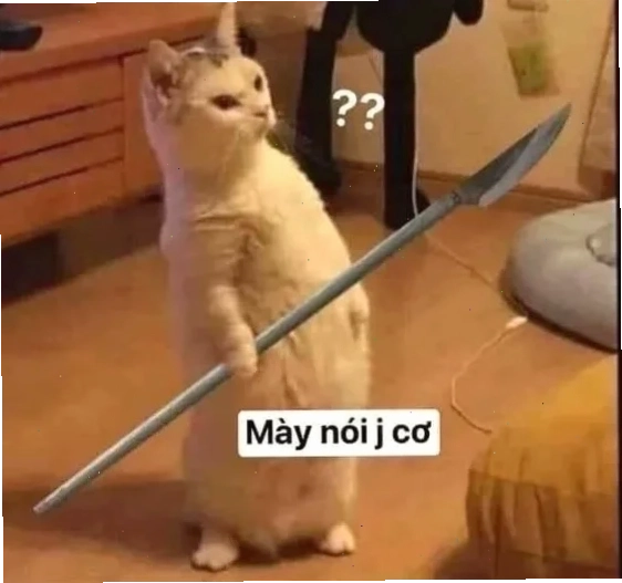 meme mèo cầm dao kề cổ chó