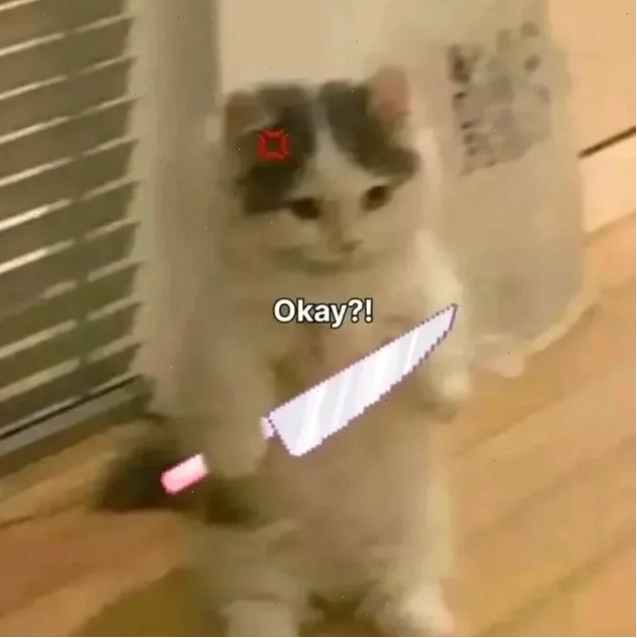 meme mèo cầm dao to