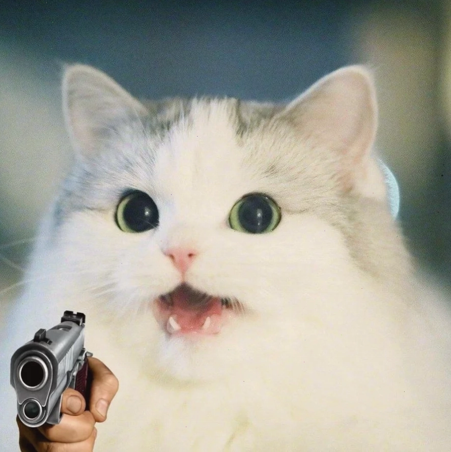 meme mèo cầm súng ak nghiêm túc
