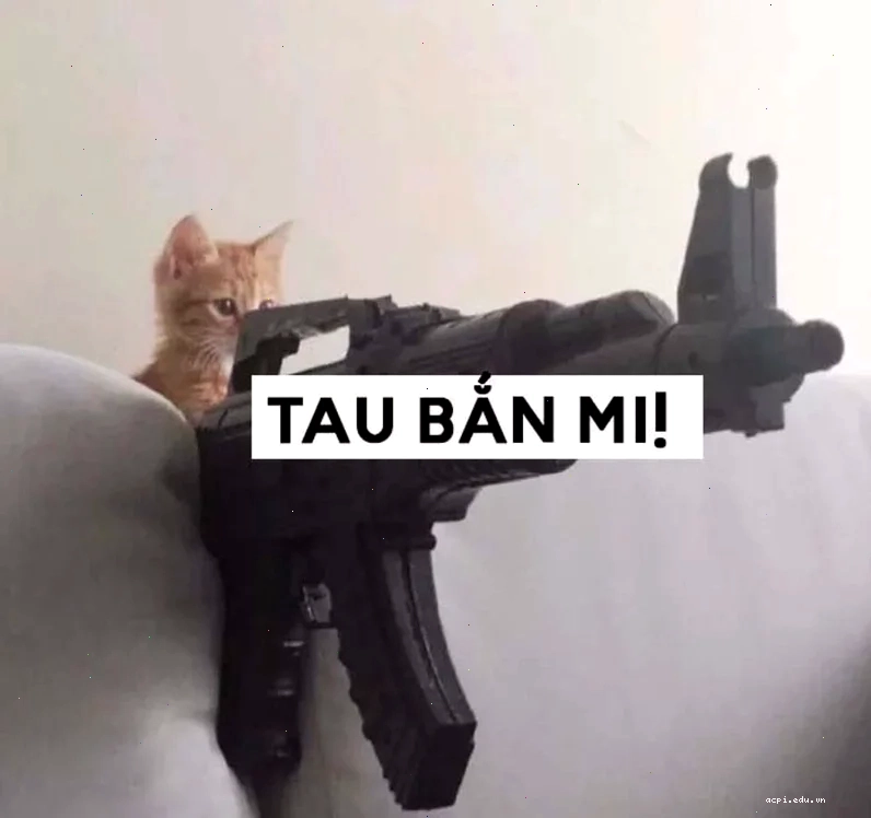 meme mèo cầm súng ak sát thủ