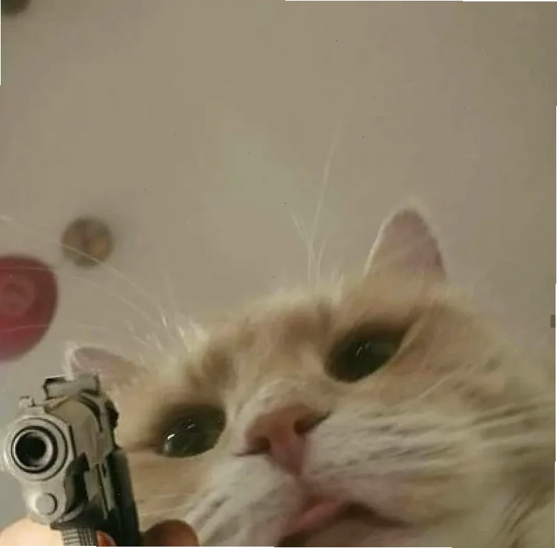 meme mèo cầm súng bắn đáng yêu