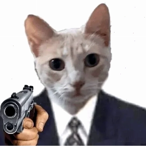 meme mèo cầm súng bắn hài nhảm
