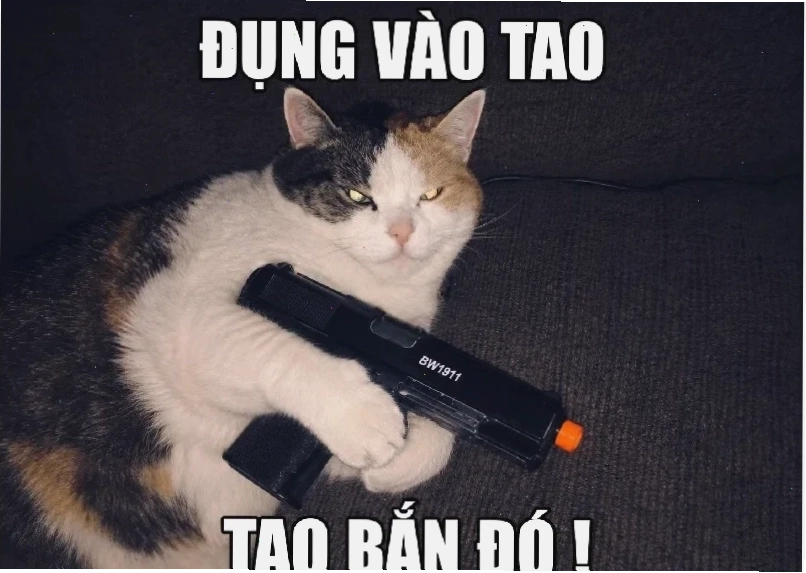 meme mèo cầm súng bắn hung hăng