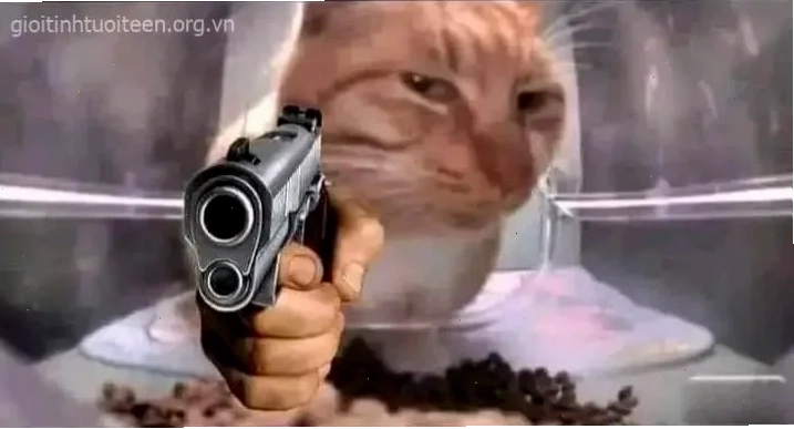 meme mèo cầm súng bắn kịch tính