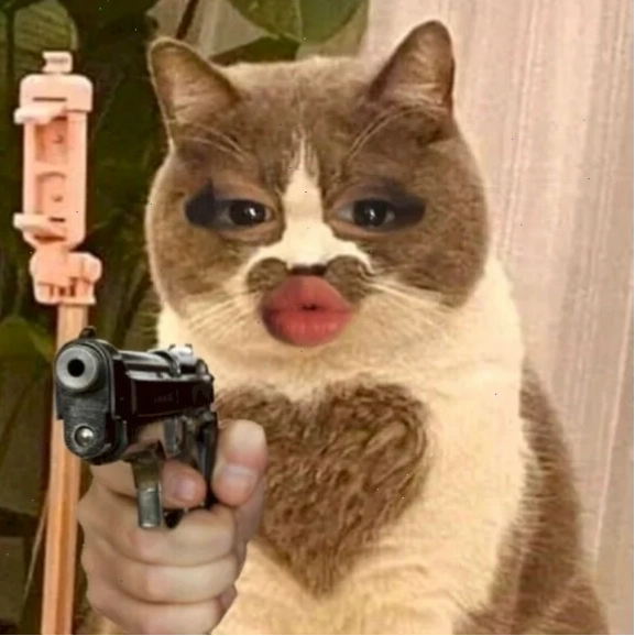 meme mèo cầm súng bắn lỳ lợm