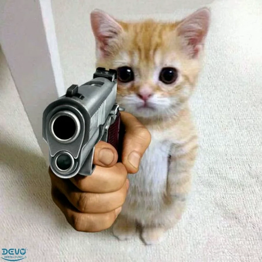 meme mèo cầm súng bắn ngáo ngơ