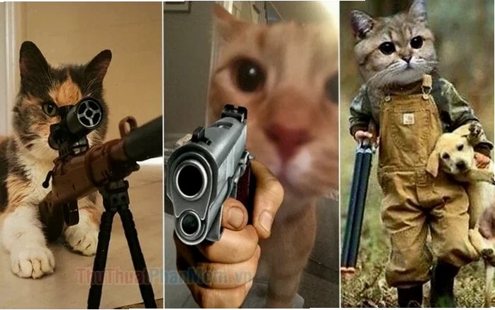 meme mèo cầm súng bắn tức giận