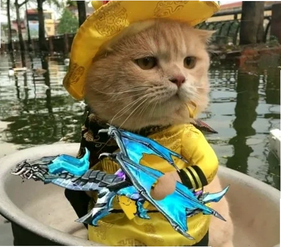 meme mèo cầm súng bắn vô tri