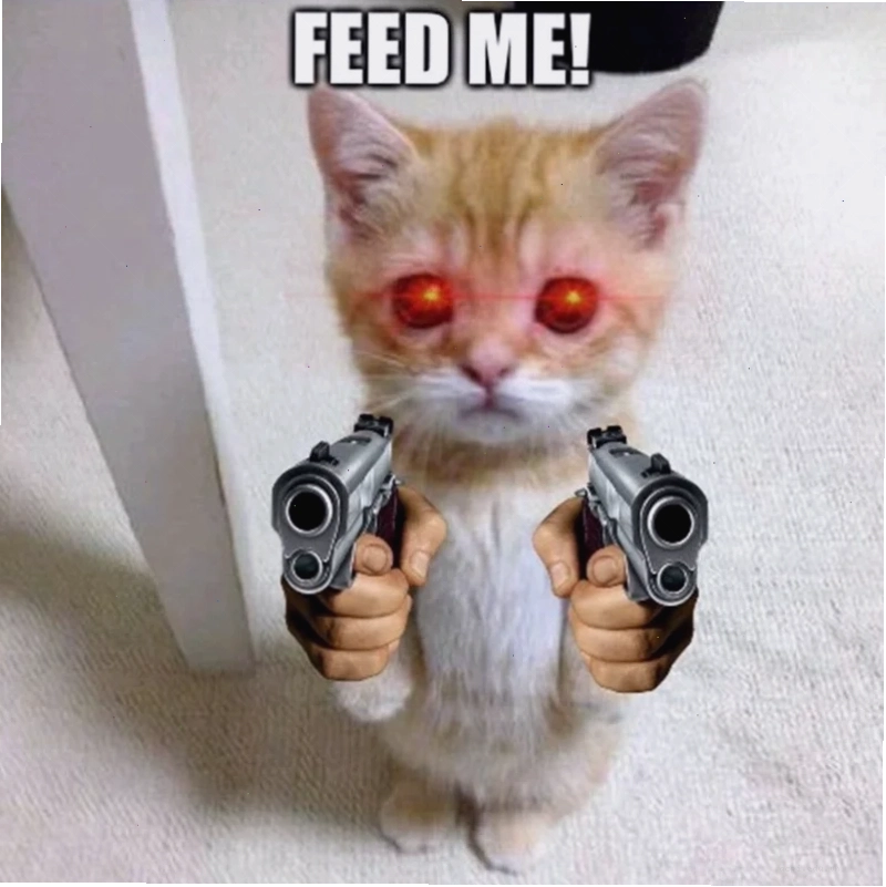 meme mèo cầm súng ff bắn tỉa