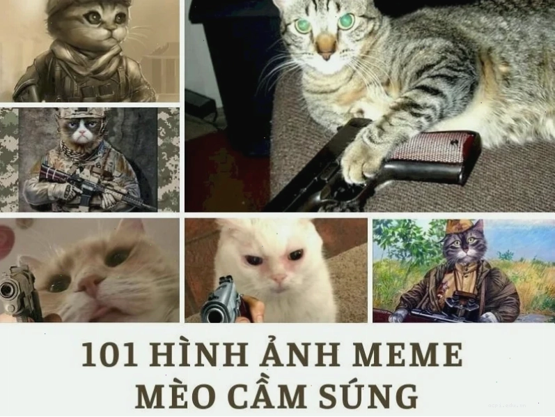 meme mèo cầm súng ff bắn trúng