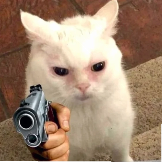 meme mèo cầm súng ff chiến đấu