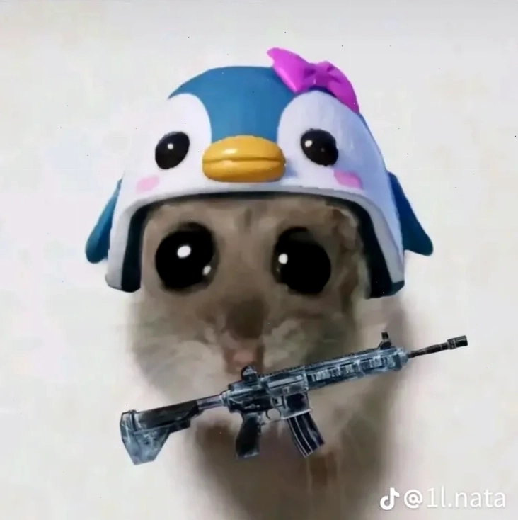 meme mèo cầm súng ff cực gắt