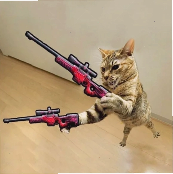 meme mèo cầm súng ff ngầu
