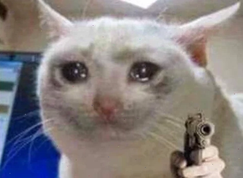 meme mèo cầm súng ff ngầu lòi