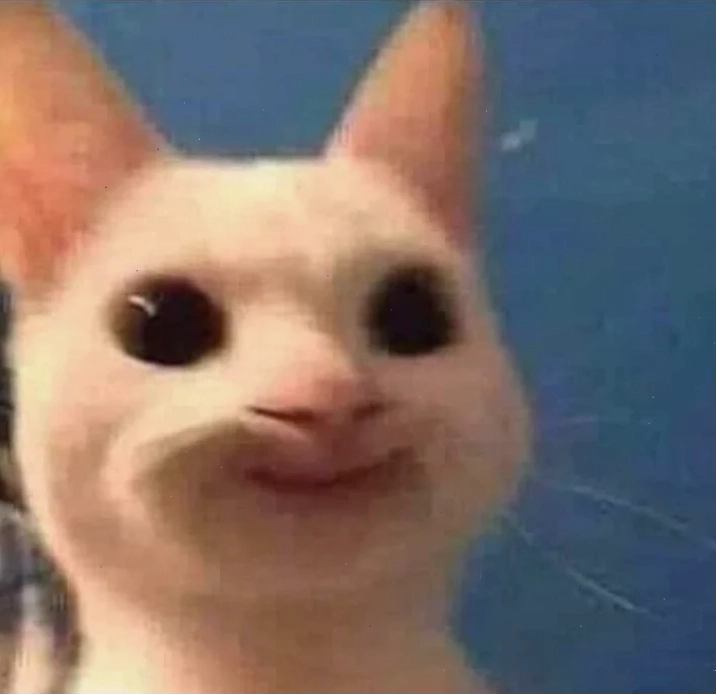 meme mèo cạn lời