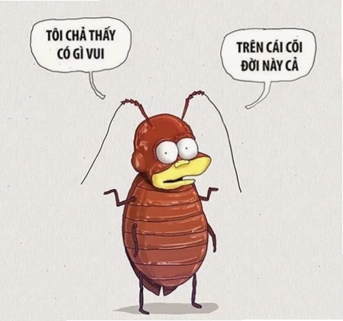 meme mèo chán đời mắt lờ đờ