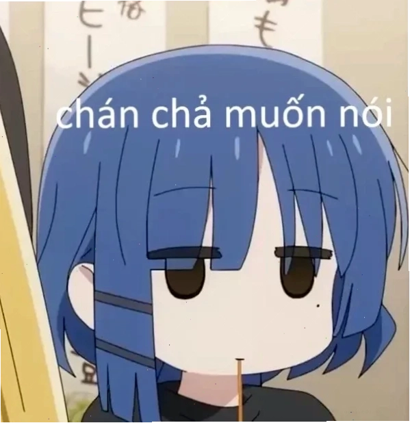 meme mèo chán đời nhìn bảng kế hoạch
