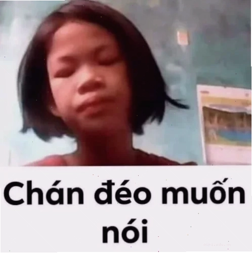 meme mèo chán đời với ánh mắt trống rỗng