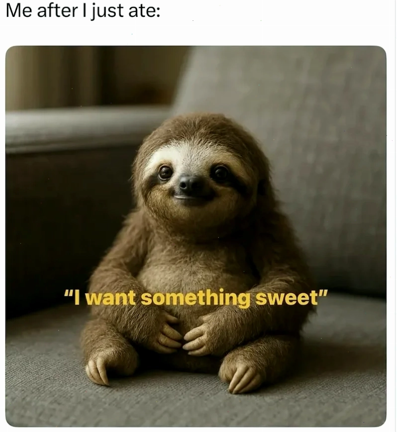 Meme mèo con