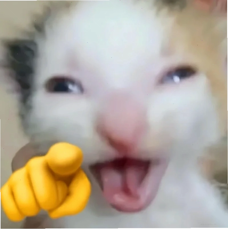 meme mèo cười